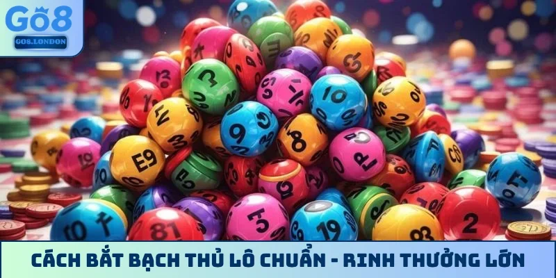 Cách bắt bạch thủ lô chuẩn