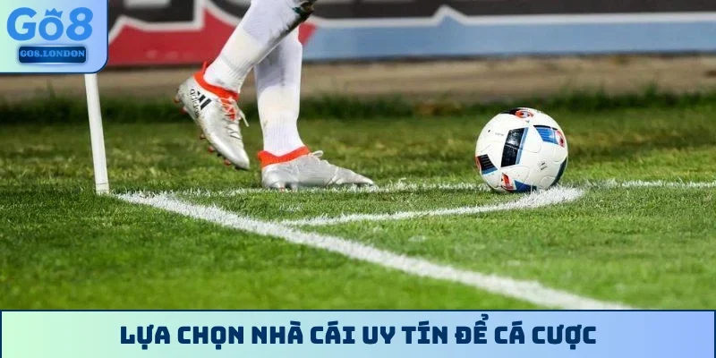 Lựa chọn nhà cái uy tín để cá cược