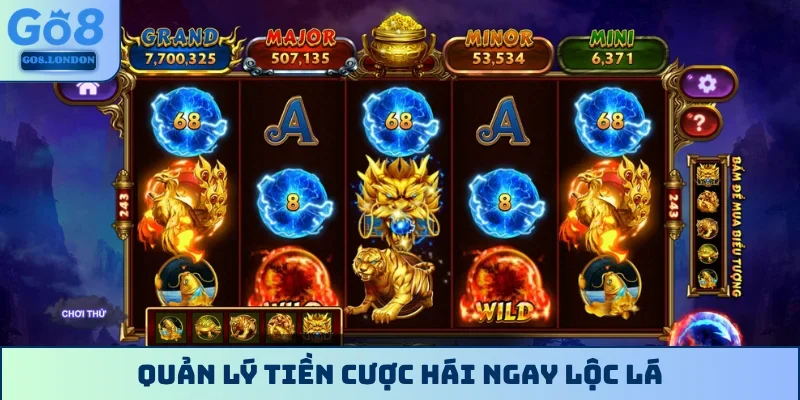 Quản lý tiền cược hái ngay lộc lá