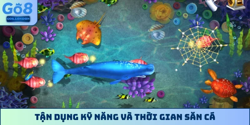 Tận dụng kỹ năng và thời gian săn cá