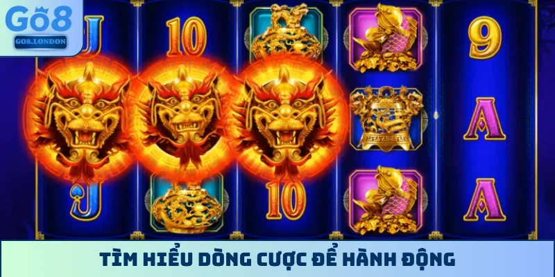 Tìm hiểu dòng cược để hành động