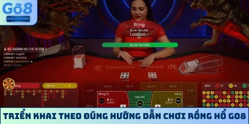 Triển khai theo đúng hướng dẫn chơi Rồng Hổ GO8